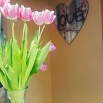 Susan Joynt - @susanjoynt1965 - Instagram