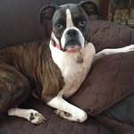 Susan Kail Hoegh - @hoeghsusan - Instagram