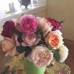 Susan Karnatz - @susankarnatz - Instagram