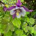 Susan Kealey - Facebook