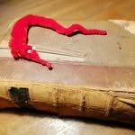 Susan Kear - @battyoldbookworm - Instagram