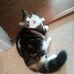 Susan Kearsey - Facebook