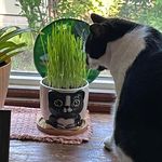 Susan Keene - @susan.keene.378 - Instagram
