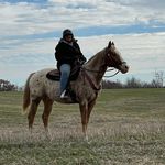 Susan Keene - @susan.keene3 - Instagram