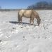 Susan Keene - Facebook
