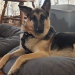 Susan keene Erwin - @susankeeneerwin - Instagram
