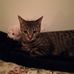Susan Evelyn Kellar - Facebook