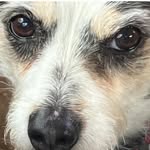 Susan Kellar - @whispersnorth184 - Instagram