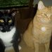 Susan Kellar - Facebook