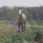 Susan Keltner - @keltner.susan - Instagram