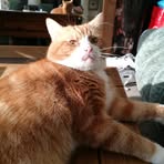 Sue Kennington - Facebook