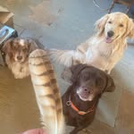 Susan Kerley - @slkerley - Instagram