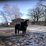 Susan Kieslich - @kieslichsusan - Instagram