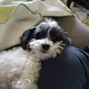 susank.higgins - @susank.higgins - TikTok