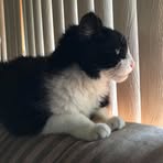 Susan Kitchen - Facebook