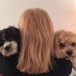 Susan Klausner - @susanklausner - Instagram