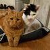 Susanne Klaus - Facebook