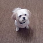 Susan Klinger - @klinger.susan - Instagram