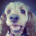 Susan Klinger - Facebook