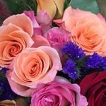 Susan Kneller - @knellersusan - Instagram