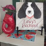 Susan Knott - @knottysue - Instagram