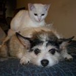 Susan Koonce Adams - @susankoonceadams - Instagram