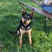 Susie Kosa - Facebook