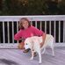 Susan Kovach - Facebook