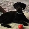 jazz’s mom - @susankrasnergolds - TikTok