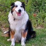 Susan Krigbaum - @lkrigbaum2021 - Instagram