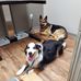 Susan Krigbaum - Facebook