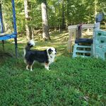 Susan Lusk Krigbaum - @susankrigbaum - Instagram