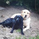 Susan Kuchenbuch - @kuchenbuchsusan - Instagram