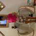 Susan Kulp - Facebook