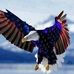 Susan Kulp - Facebook