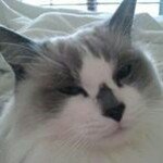 Susan Barnes Kwiatkowski - @suzyq956 - Instagram