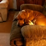Susan Kwiatkowski - Facebook