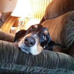 susan kwiatkowski - @skkwiaib - Instagram