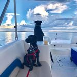 Susan Kwiatkowski - @suek88 - Instagram