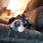 Susan Kwiatkowski - Facebook