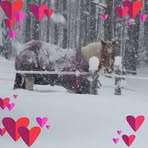 Susan Kwiatkowski - Facebook
