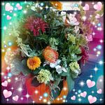 Susan Labbe - @labbe9545 - Instagram