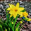 Susan LaBrie - @susanlabrie - TikTok