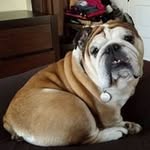 Susan Morris Lahey - @laheysusan - Instagram