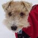 Susan Lamm - Facebook