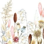susan lammertink - @susanlammertink - Instagram
