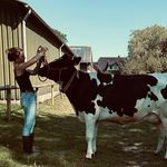 Susan - @susan__lammers - Instagram