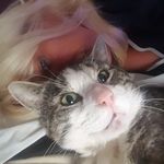 Susan Langan - @susan.langan.792 - Instagram