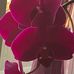 Susan Smith Langille - Facebook