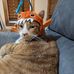 Susan Lape - Facebook